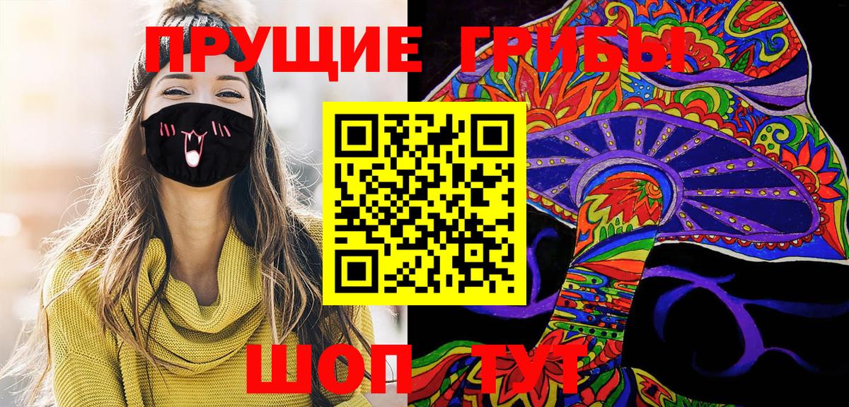 Псилоцибиновые грибы Cubensis Урюпинск